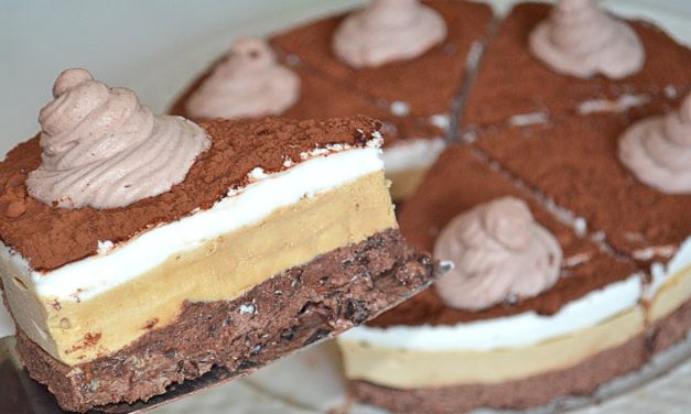 ايس كريم بثلاث مكونات متوفرة و نكهات طبيعية بدون فلان رائع