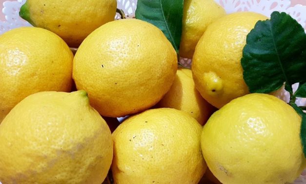 طريقة احتفاض بالليمون سنة ب3 طرق سهلة