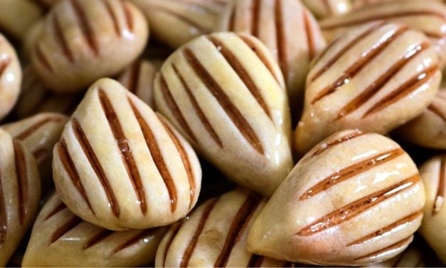 شكلين من الحلويات السهلة بنص كيلو كاوكاو