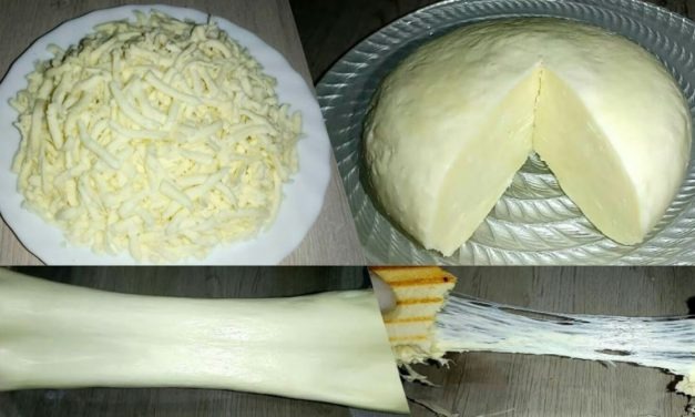 طريقة عمل جبنة الموزاريلا المطاطية ناجحة وسهلة!