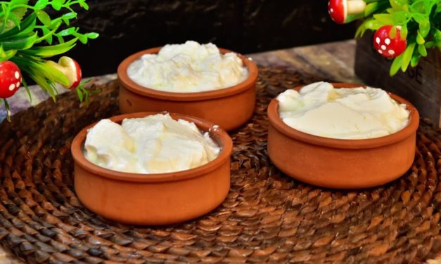 لبن الرايب بطريقه سهله وتفاصيل كتير مهمه