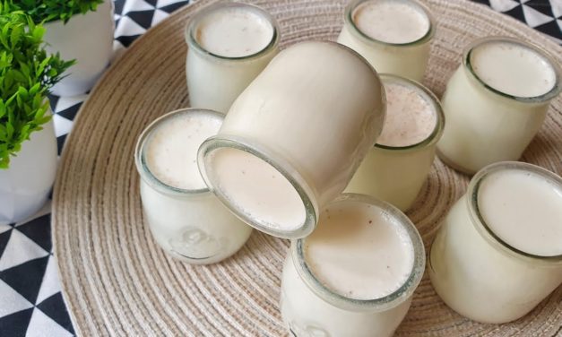 ياغورت او زبادي منزلي طريقة تحضير سهلة ومضمون فقط ب 2 مكونات اساسية فقط