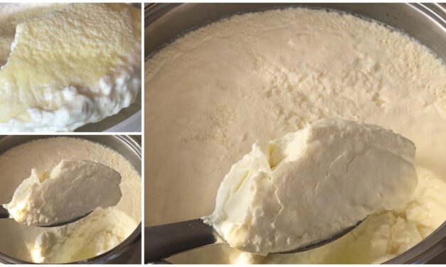 ترويب اللبن الزبادي بدون نشاء او حليب باودر او زبدة بكافة اسرار نجاحه