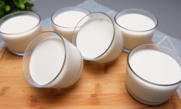 الزبادي البيتي الكريمي بدون ماكينة لسحور رمضان