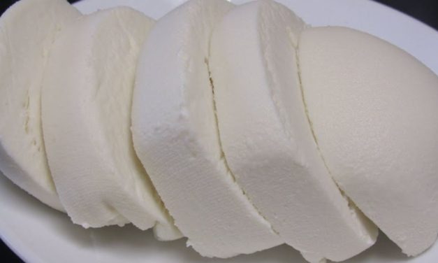 طريقة عمل جبن بدون منفحه اطيب جبنه منزليه