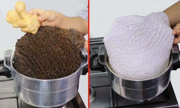 أسهل طريقة لتنضيف الكرشة في العيد بالزنجبيل بدون مواد كيماوية