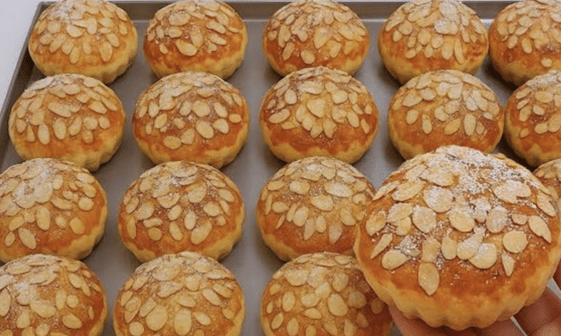 بريوش بدون بيض ولا زبدة… هش وقطني واقتصادي